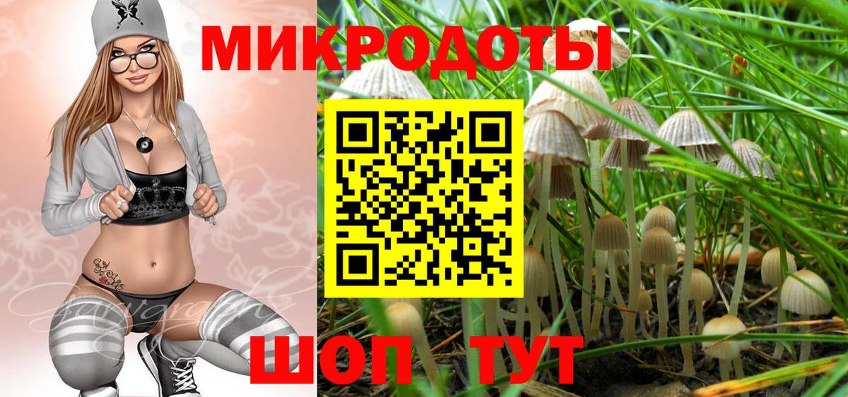 Галлюциногенные грибы Psilocybe  Вход с VPN  Кизляр 